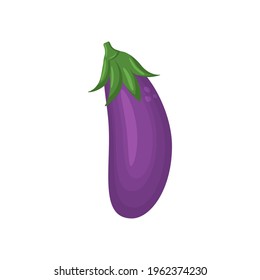 Fresh juicy fruit - eggplant vector icon isolated on white background. eggplant icon, flat style, vegetable vector illustration. Healthy food single object - isolated eggplant