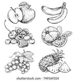 Fresh and juicy fruits. hand drawn illustration isolated on white background. Doodle vegan food illustrations