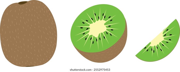 Kiwi fresco e suculento conjunto inteiro, corte e metade de fatia isolado no fundo branco. Frutas tropicais, Kiwi ícone vetor ilustrador design.