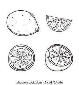 Fresh juicy lemon in doodle hand drawn style. Whole, halves, parts of vitamin c fruits. Set of vector illustrations isolated on white background.