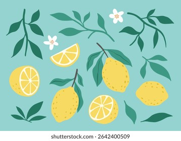 Flores e folhas frescas suculentas de frutos de limão isoladas sobre um fundo verde. Metade colorida e limão inteiro com uma folha. Perfeito para suco ou geleia. Ilustração vetorial.