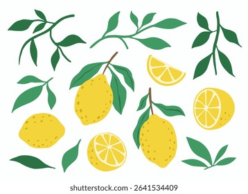 Fresh juicy lemon fruit isolated on a white background. Colorful half and whole lemon with a leaf. Perfect for juice or jam. Vector illustration.