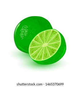 Fresh and juicy lime. Ripe citrus round green fruit. Ingredient with sour flavour using for vegan, vegetarian food, alcaline diet. Vector cartoon illustration for packing, menu, recipe, advertisement.