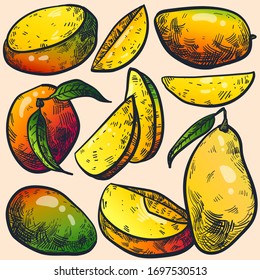  Fresh juicy mango, whole and cut. Set of elements for design