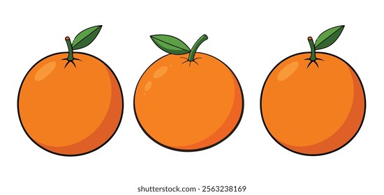 Fresh and Juicy Orange Vector Illustration: Vibrant Citrus Design for Healthy Lifestyle Themes