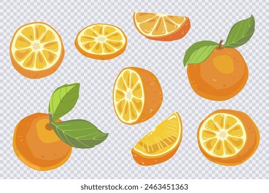 Fresh juicy oranges fruit in cartoon style. Set of delicious orange cut into pieces isolated on transparent. Organic fruits for lemonade juice, vitamin C healthy food. Vector illustration