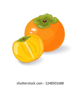Fresh juicy persimmon isolated on white background. Whole and a half persimmon vector illustration. Christmas fruits