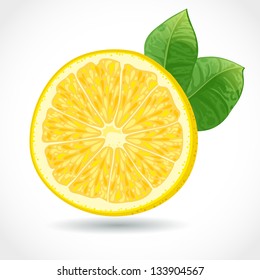 Fresh juicy piece of lemon vector illustration isolated on white