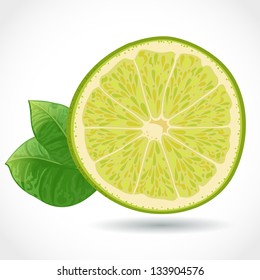 Fresh juicy piece of lime vector illustration isolated on white