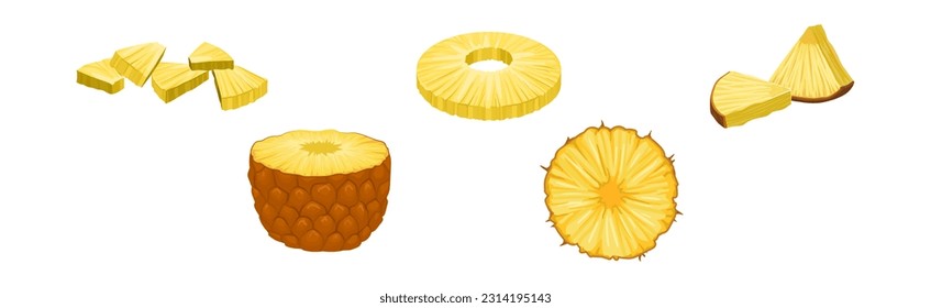 Fresh and Juicy Pineapple Slice and Section Vector Set