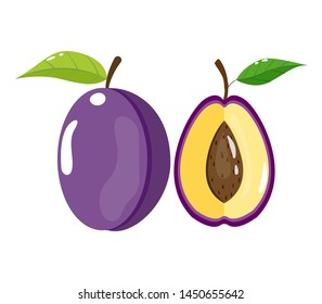 Fresh juicy plum on white background. Half and whole plum. Vector illustration