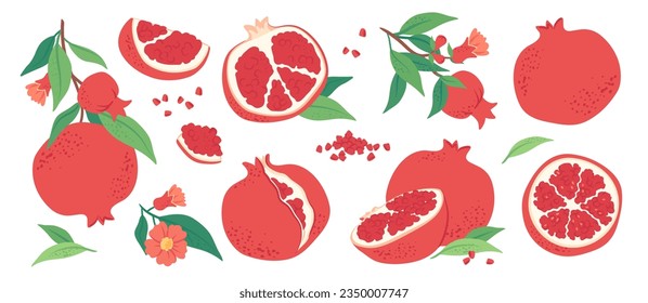 Fresh juicy pomegranates, ripe delicious garnet fruit slices and halves, pomegranate seeds. Healthy antioxidant rich food, hand drawn pomegranate tree branch with leaves and red flowers vector set