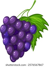 Fresh, juicy purple grapes hanging from a vine with a vibrant green leaf, perfect for representing healthy eating, winemaking, or a delicious snack