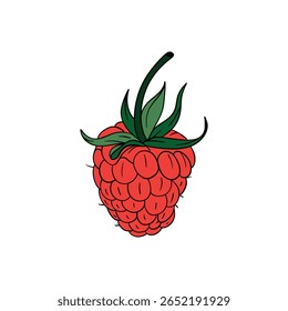 Framboesa fresca e suculenta baga de fruta vermelha arbustiva. Line art comida saudável natural