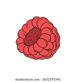 Framboesa fresca e suculenta baga de fruta vermelha arbustiva. Line art comida saudável natural