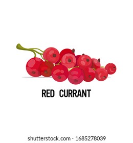 fresh juicy red currant icon tasty ripe fruit berry isolated on white background healthy food concept vector illustration