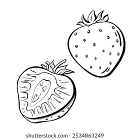 Fresas frescas y jugosas están bellamente ilustradas en esta obra de arte creativa. Ilustración de boceto de Vector. 