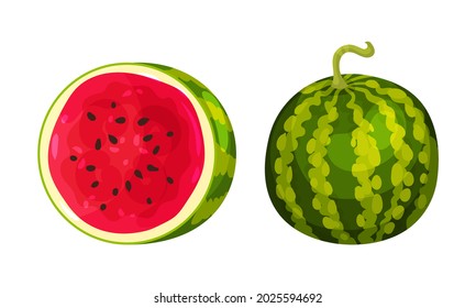 Fresh and Juicy Watermelon Fruit with Red Flesh and Black Seeds Vector Set