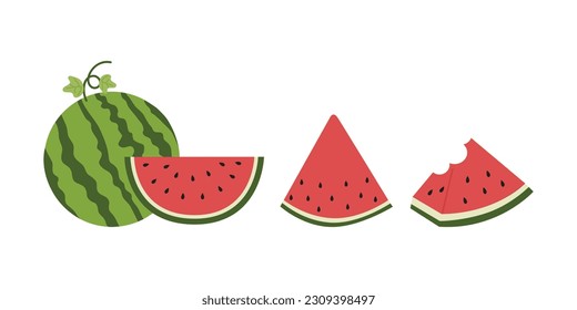 Fresh and juicy whole watermelons and slices illustration. Cartoon fresh green open watermelon. Cartoon fresh green open watermelon half, bites, slices, and triangles.