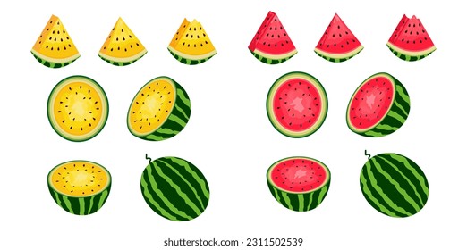 Fresh and juicy whole watermelons and slices.Set of ripe yellow and red watermelon berries. Vector illustration.