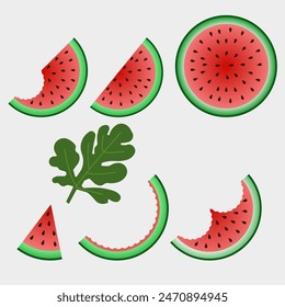 Fresh and juicy whole watermelons and slices. Vector illustration. EPS 10.