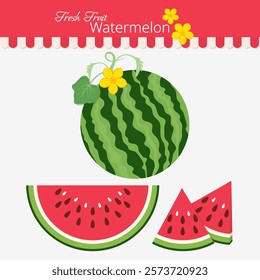 Fresh and juicy whole watermelons and slices. All layered and grouped. Vector.