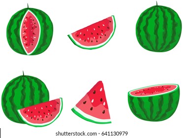 Fresh and juicy whole watermelons and slices .Vector illustration on white background.