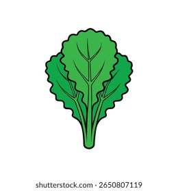 Fresh kale leafy vegetable with detailed texture and bright green Vector illustration