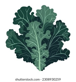 Comida de kale fresca, icono vegetal orgánico aislado