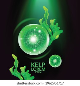 fresh Kelp seaweed salad sea food vector Illustration