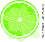 Fresh Key Lime Slice Cross Section Top View Realistic Citrus Lemon Lime Fruit Vector Illustration