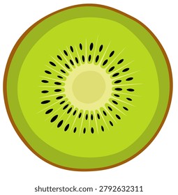 Fresh Kiwi Fruit Cross Section Slice Isolated	