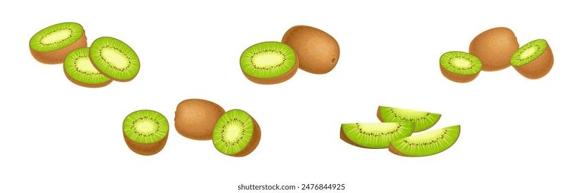 Fruta fresca del kiwi con el Vector de la pulpa verde