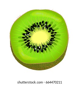 Fresh kiwi fruit half isolated on white. Vector illustration of kiwi part colorful element with brown skin, green color inside with little black seeds and light center. Succulent isolated fresh kiwi