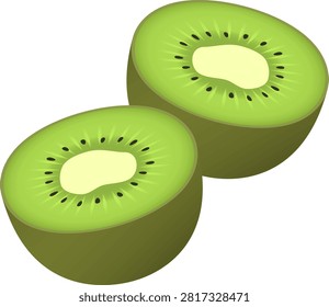 Fresh Kiwi Fruit Isolated Vector Illustration