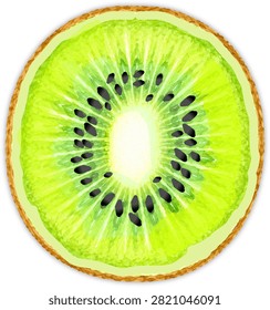 Fresh Kiwi Fruit Slice with Black Seeds Water Green Lime Illustration on Transparent Background