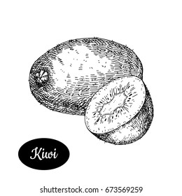 Fresh kiwi. Hand drawn sketch style tropical summer fruit vector illustration. Isolated drawing on white background. Vitamin and healthy fruit eco food. Farm market produce. 