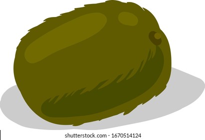 Kiwi fresco, ilustración, vector sobre fondo blanco.
