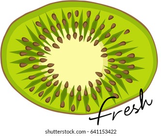 Fresh kiwi slice
