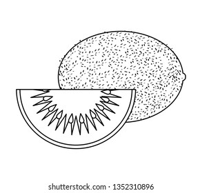 fresh kiwi with slice isolated icon