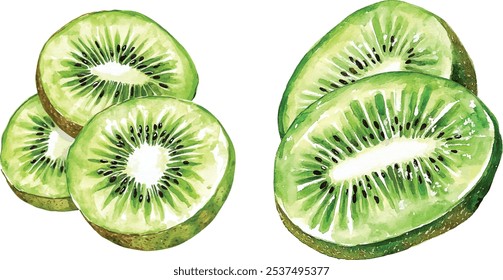 Fresh kiwi slices with green skin watercolor illustration. Hand-painted exotic fruit isolated on white background