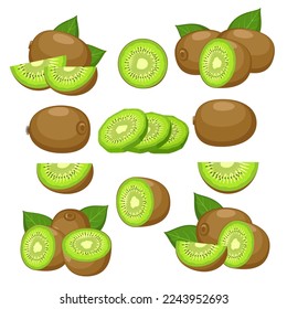 Fresh kiwi slices. Kiwie fruits dessert snacks isolated clipart, healthy tasty kiwy half slice whole delicious organic parts, kiwifruit vector illustration