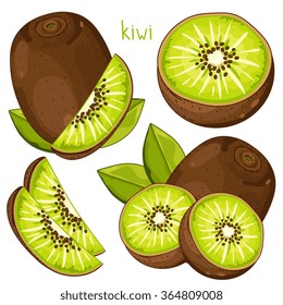 Fresh kiwi. Whole, half and slice of ripe juicy vegetarian product illustration. Natural exotic fruit collection design element. Vector tropical kiwi set isolated vector on white background
