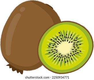 Fresh kiwi whole and slice
