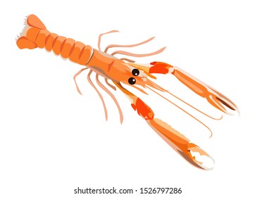 Fresh langoustine icon for menu design isolated on white background, healthy seafood, vector illustration