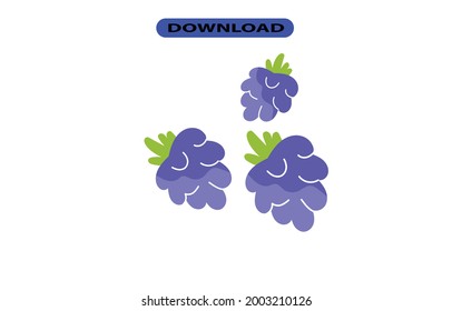 fresh and large grapes with high resolution