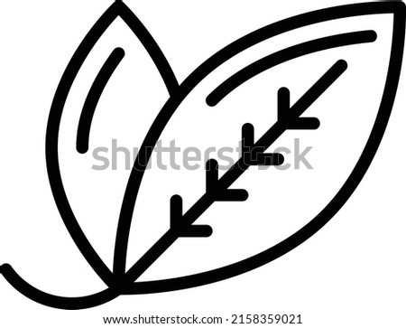 Fresh Lauraceae vector line icon design, Condiments and Spices symbol, Food cooking ingredients Sign, Herbs and table sauce stock illustration, Bay laurel leaves Concept,