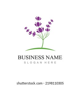 fresh lavender flower logo flat design