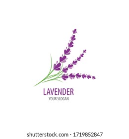 Fresh Lavender flower logo vector flat design