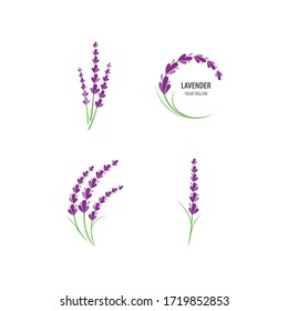 Fresh Lavender flower logo vector flat design